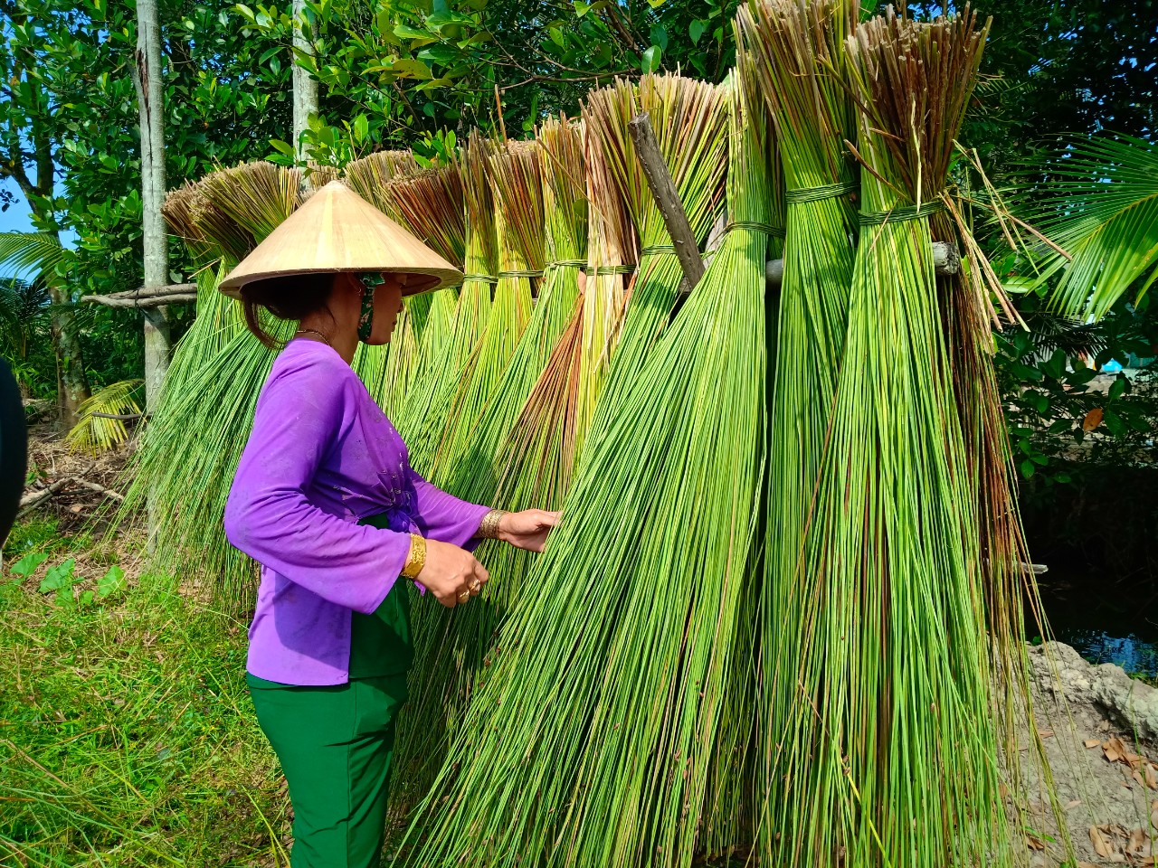 Giữ nghề đương đệm bàng của quê hương