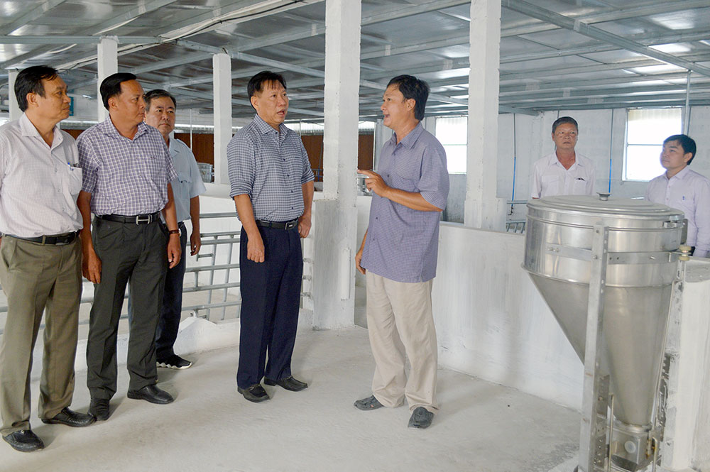 Phó Chủ tịch UBND tỉnh An Giang Trần Anh Thư kiểm tra tình hình sản xuất nông nghiệp và phòng, chống cháy rừng
