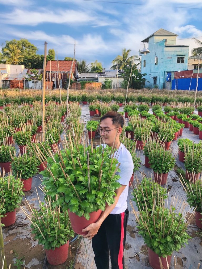 Đặc sắc làng hoa Tết