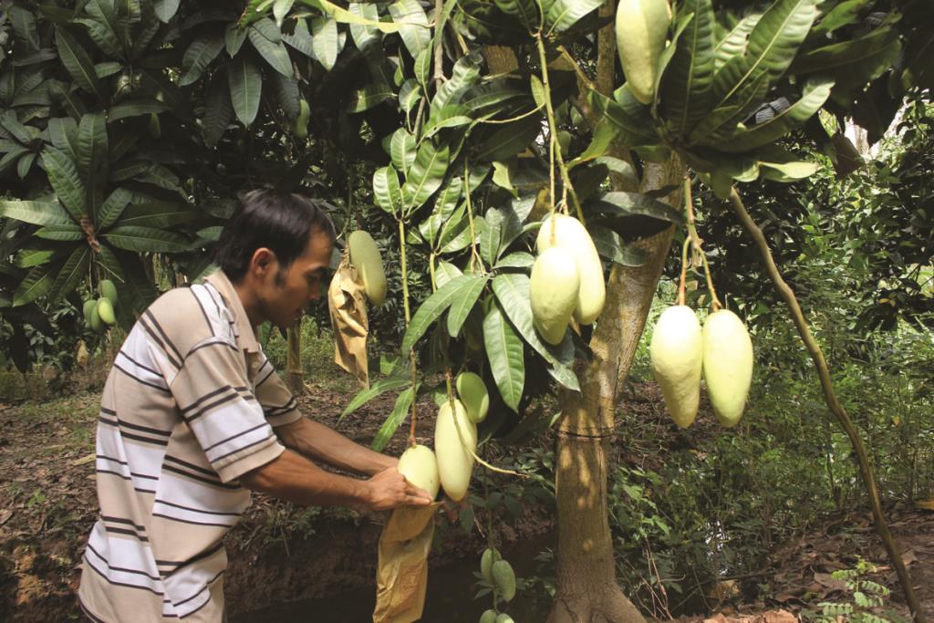 Đổi thay vùng đất thép