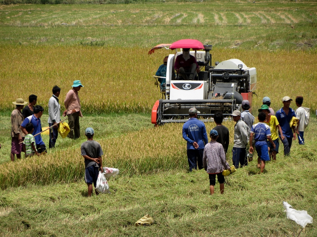 Thú vui săn chuột đồng