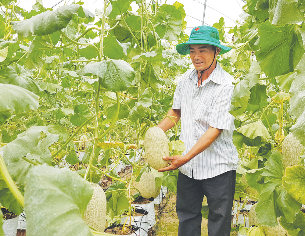 Đột phá mới cho nông nghiệp