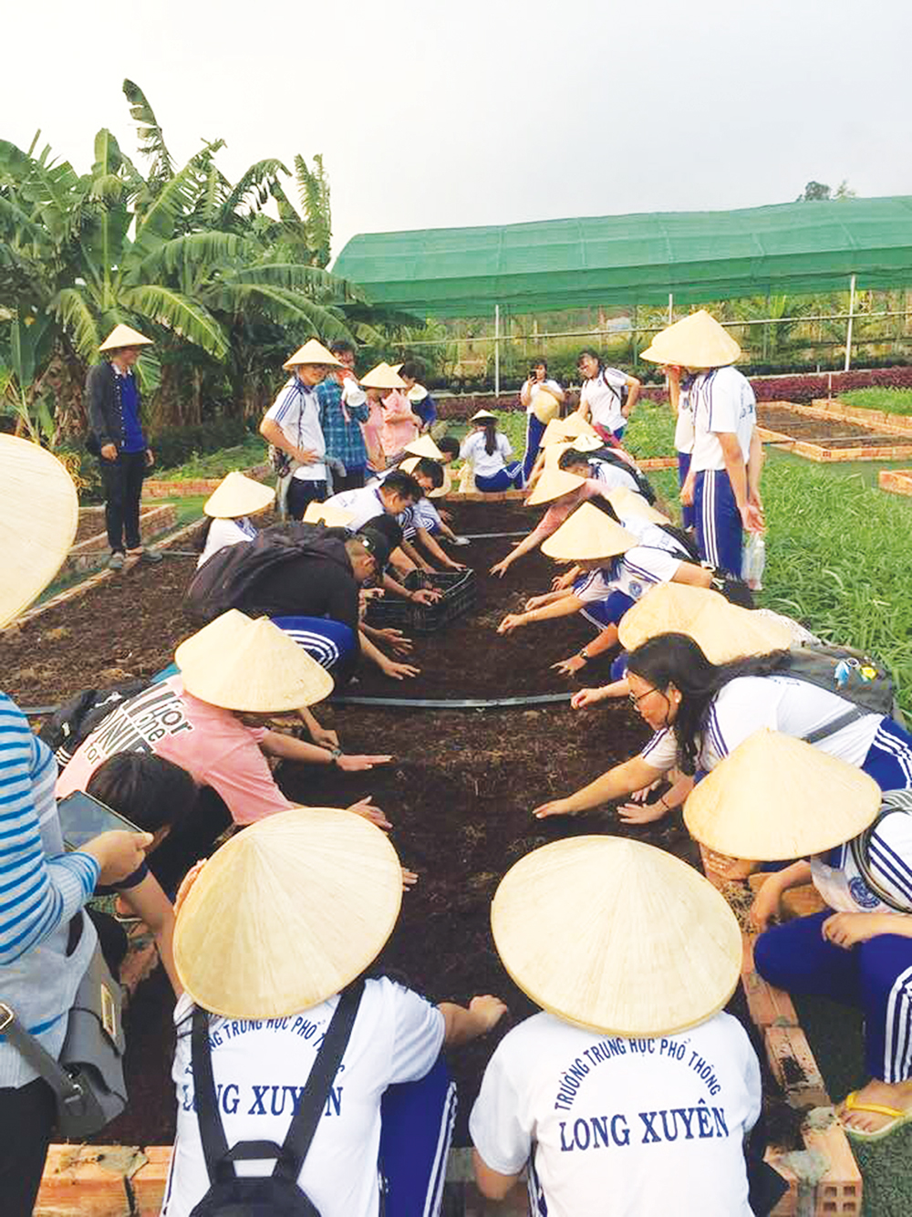 Hẹn em du Xuân vườn sinh thái