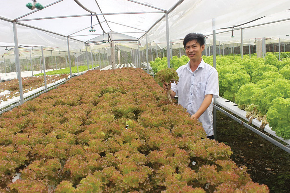Làm nông thời hiện đại