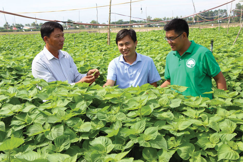 Làm nông thời hiện đại