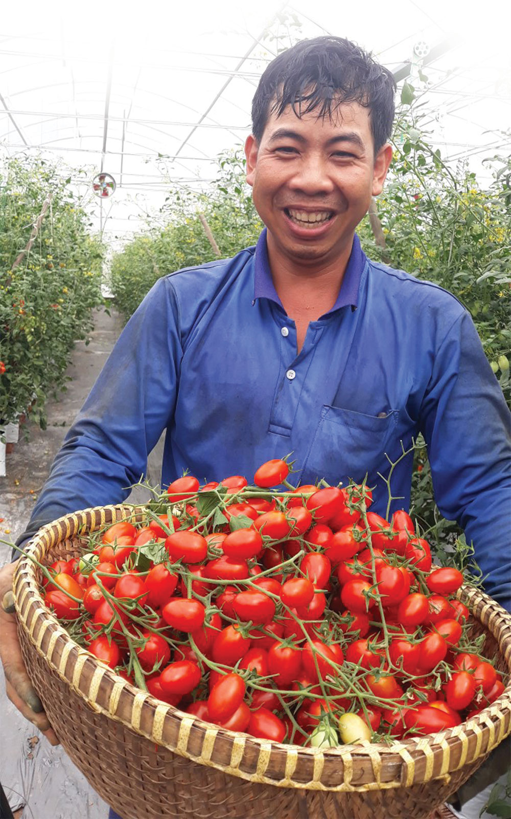 Làm nông thời hiện đại