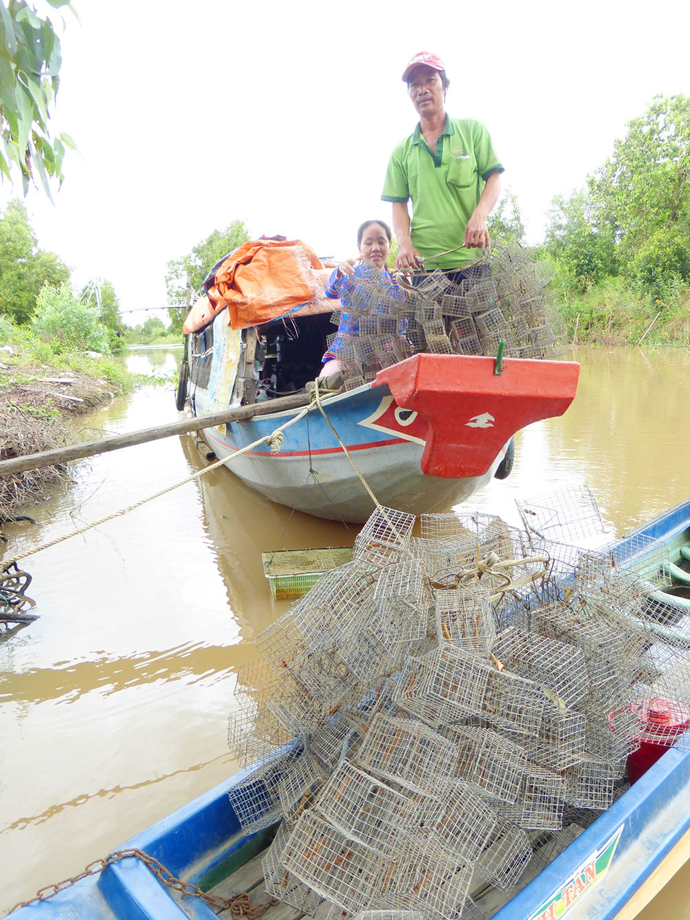Bẫy chuột đồng xa