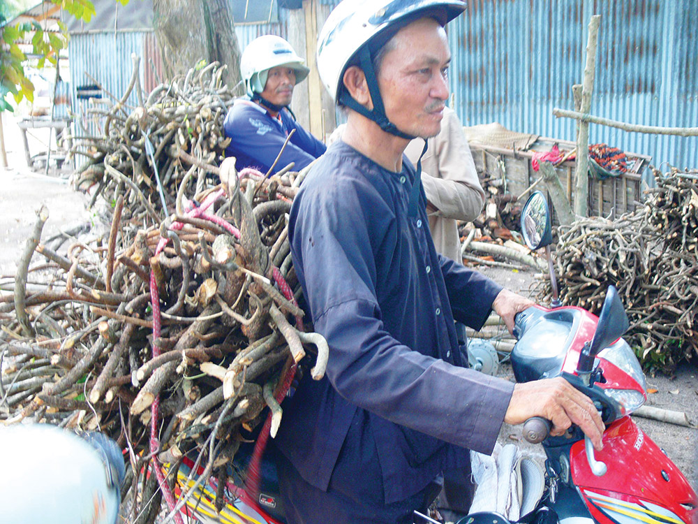 Lên non tầm dược