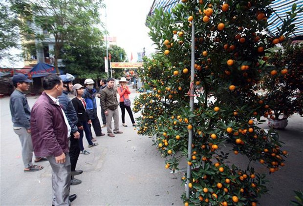 Những phong tục tập quán trong ngày Tết cổ truyền ở Việt Nam