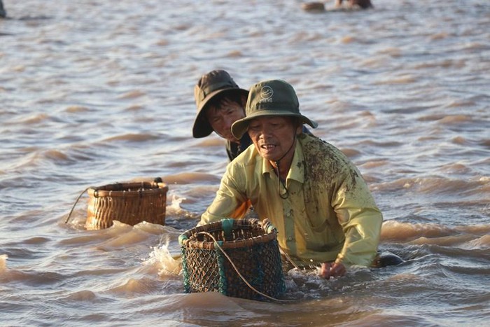 Lấp lánh ánh bình minh trên sân nghêu Thạch Lợi