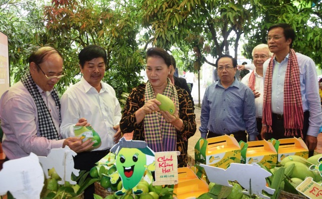 Xuân về Hội quán trên đất Sen Hồng