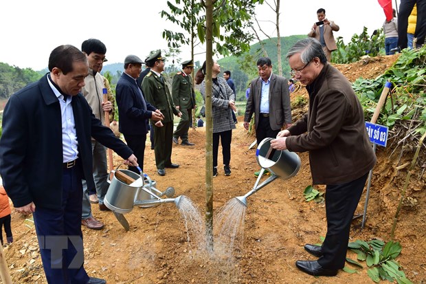 Thường trực Ban Bí thư dự Lễ phát động Tết trồng cây tại Tuyên Quang