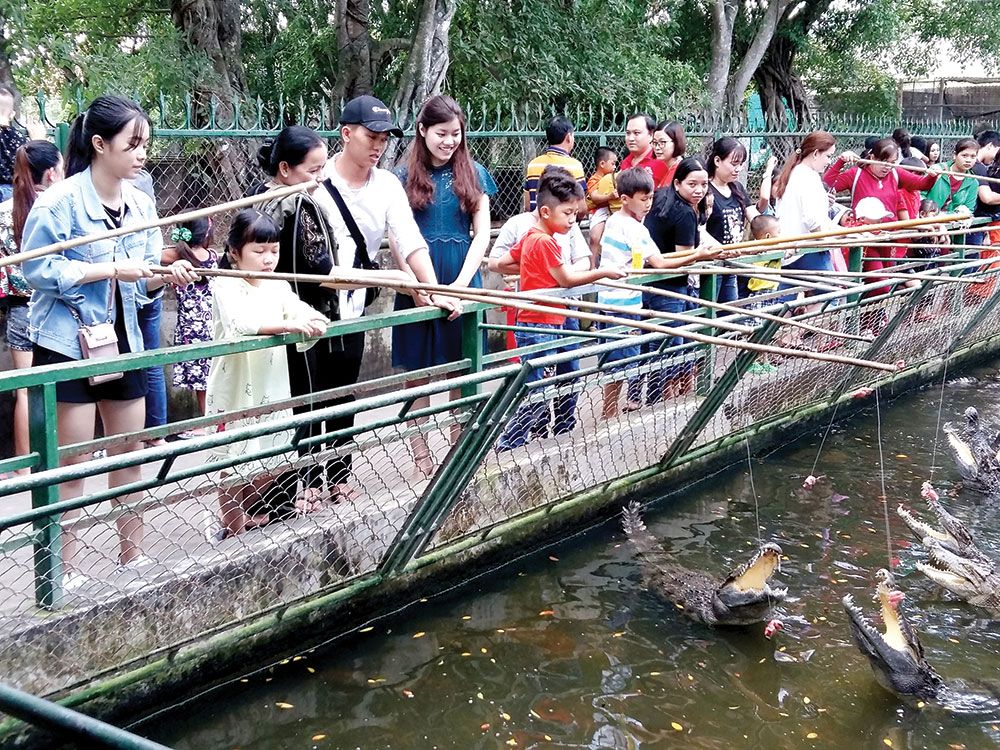 Vãn cảnh tháng Giêng