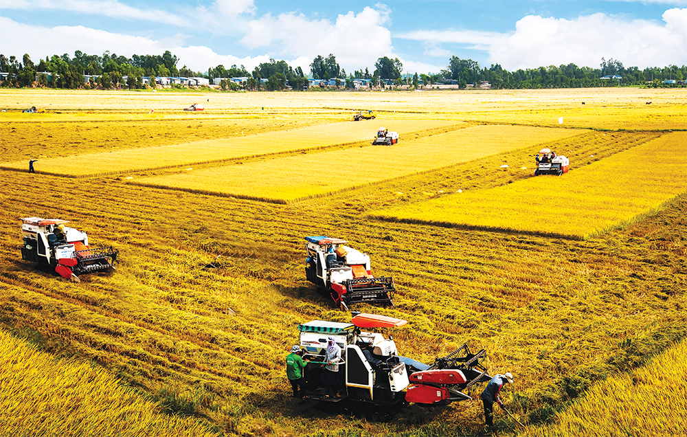 Kịch bản tăng trưởng năm 2020