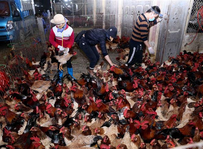 Thủ tướng yêu cầu không để dịch chồng dịch