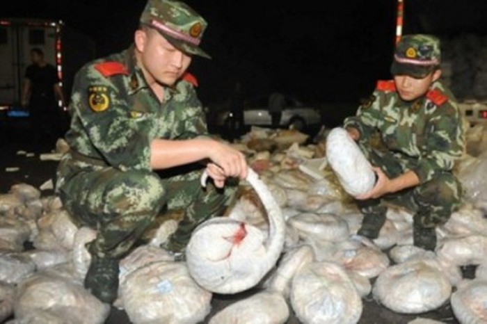 Phát hiện vật chủ trung gian mới lây truyền virus corona