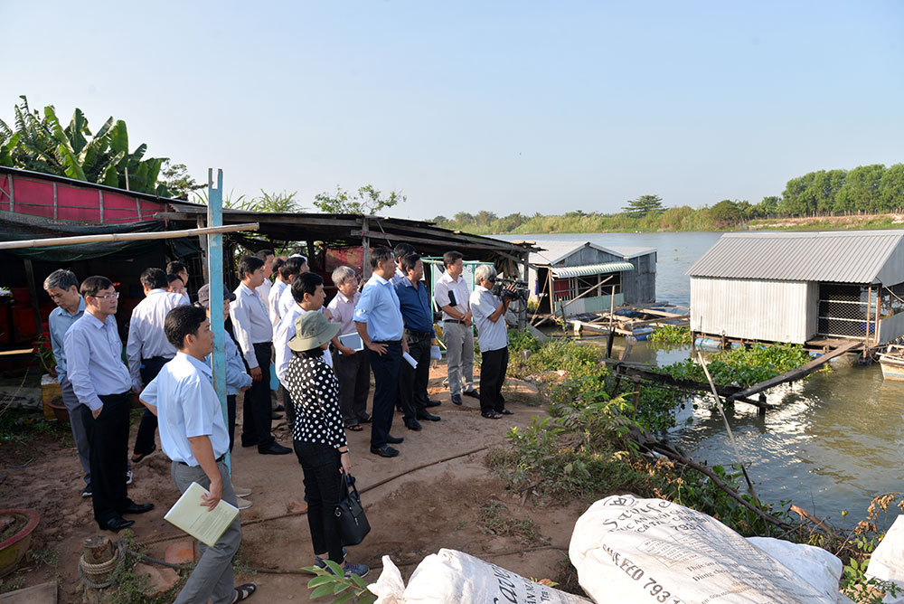 Phó Chủ tịch UBND tỉnh An Giang Trần Anh Thư khảo sát tình hình sạt lở tại các địa phương