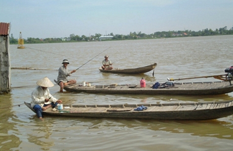 Nhớ con cá bông lau ở xứ cù lao