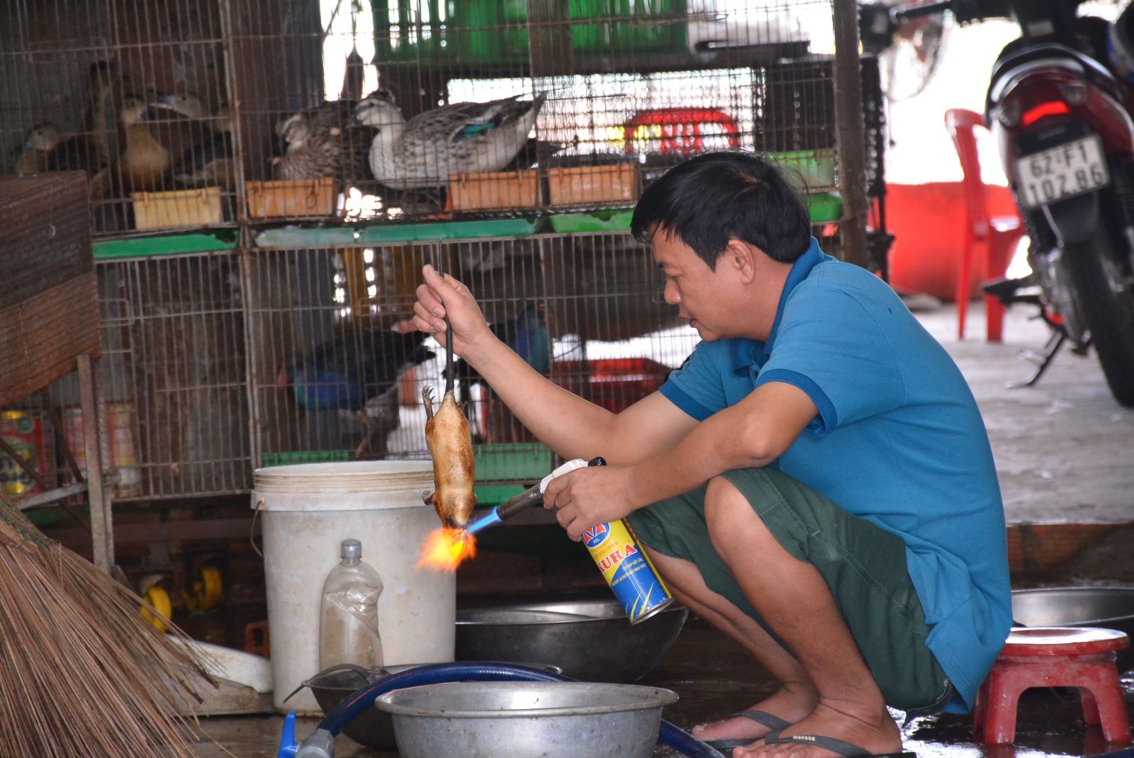 Long An: Kiểm tra, lập biên bản hàng loạt cửa hàng mua bán động vật hoang dã không rõ nguồn gốc, xuất xứ