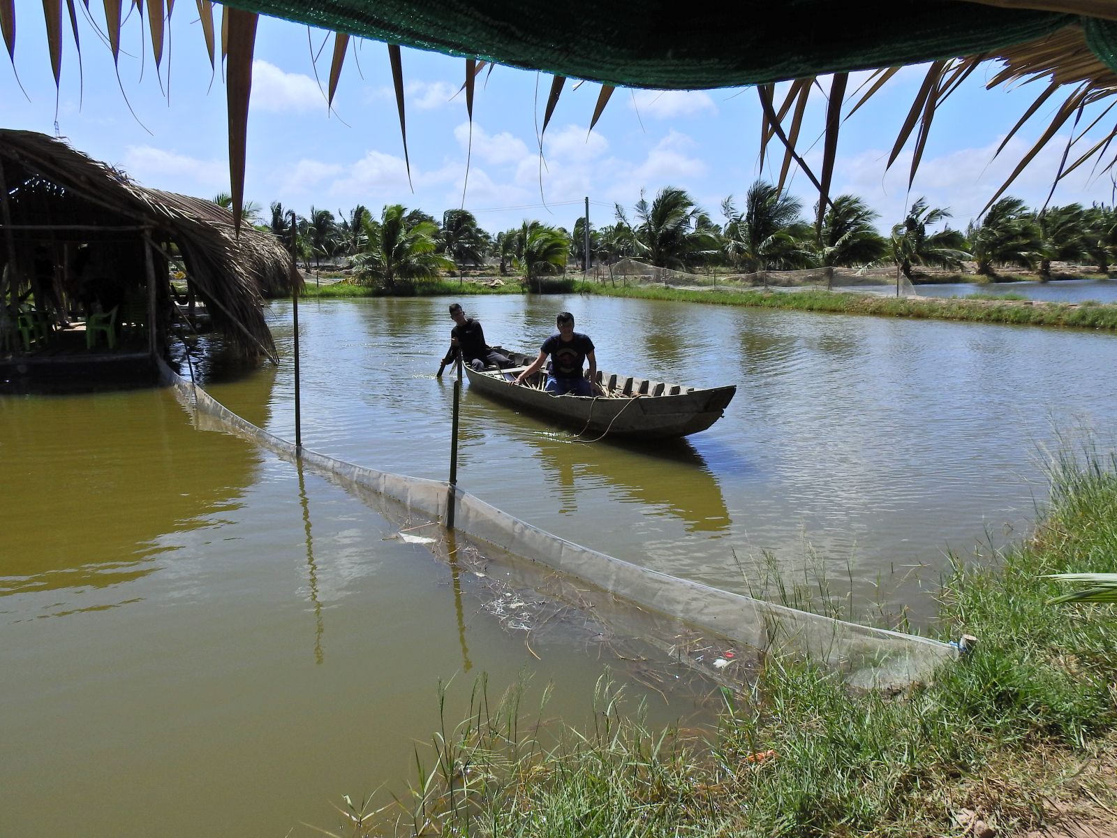 Về cồn Chim tìm lại nét quê Nam Bộ