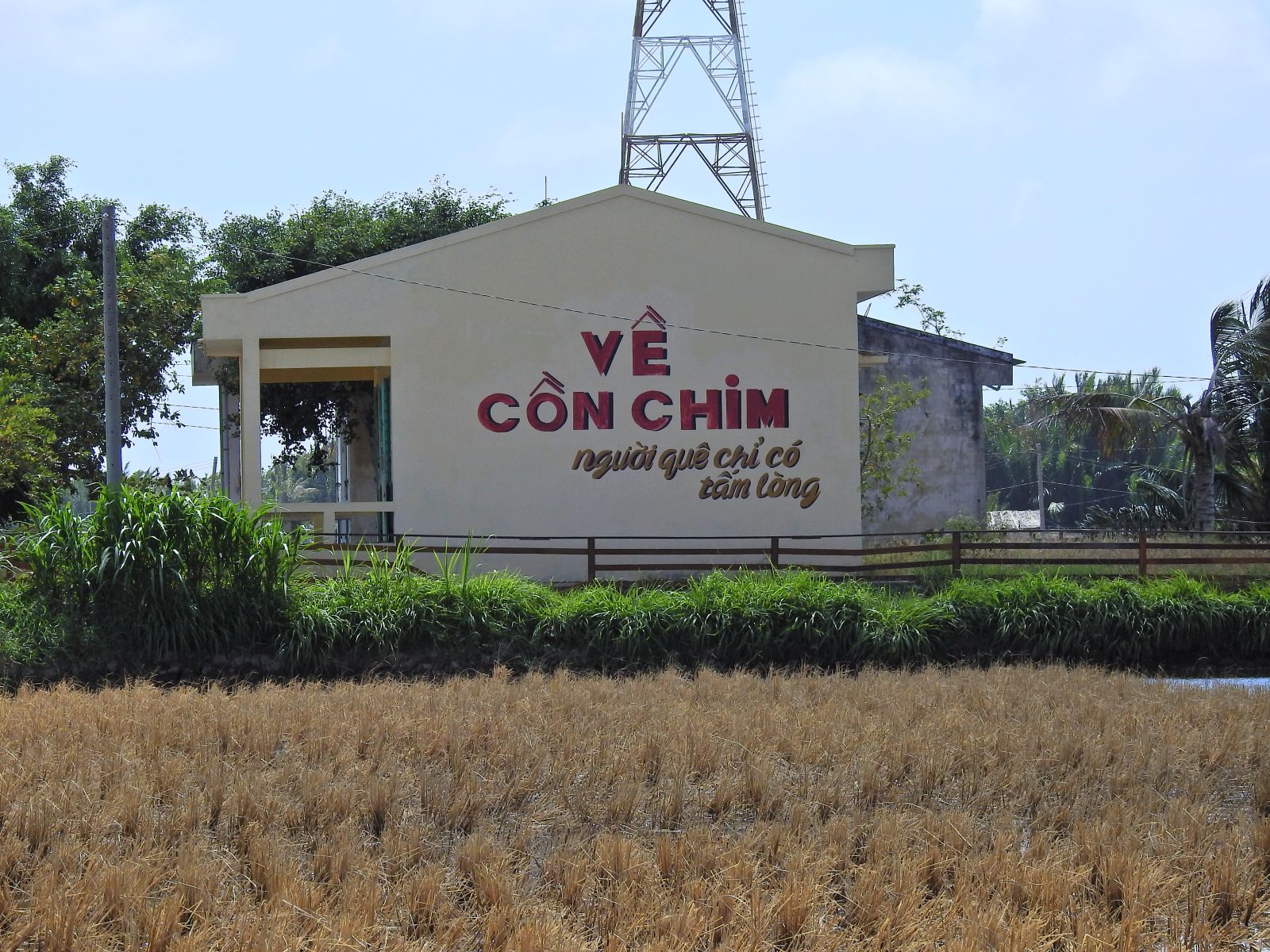 Về cồn Chim tìm lại nét quê Nam Bộ