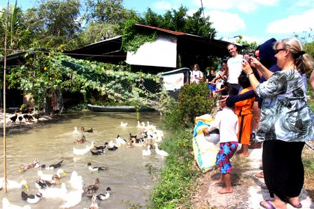 Ngành du lịch ứng phó dịch bệnh Covid-19