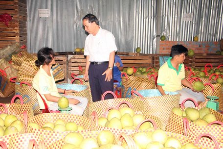Vẫn còn đối mặt với đợt hạn, mặn trong tháng 3