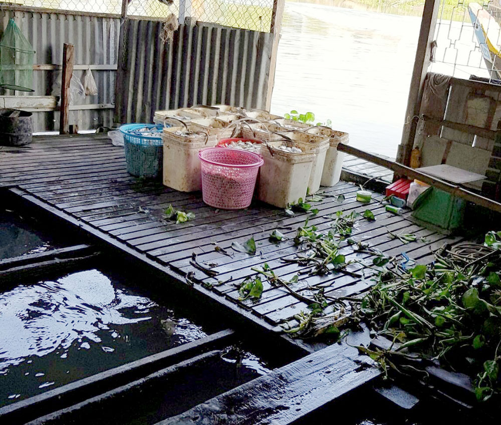 Vận động di dời các bè nuôi cá trên khu vực sông Cái Vừng