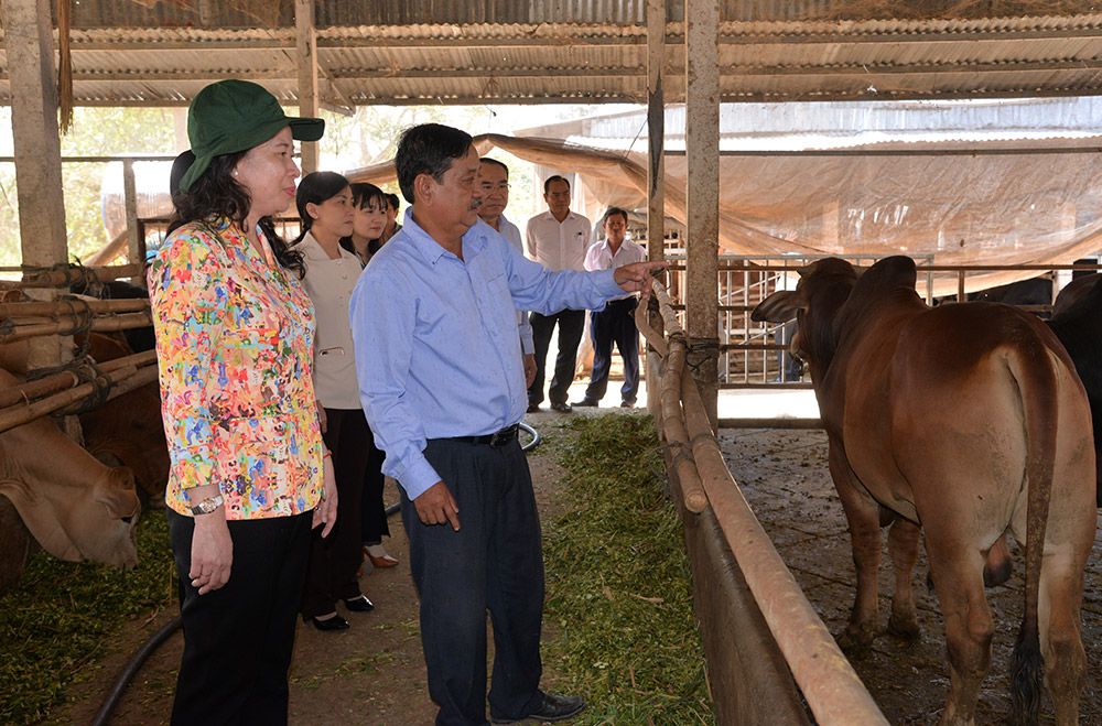 Bí thư Tỉnh ủy An Giang làm việc với Huyện ủy Châu Thành về công tác chuẩn bị Đại hội Đảng