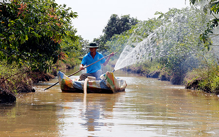 Hiệu quả các công trình ngăn mặn