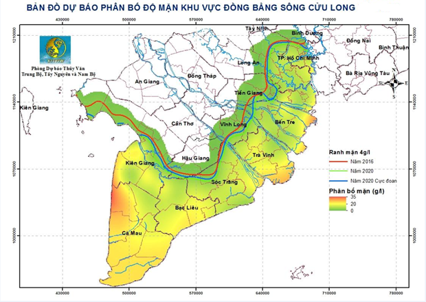 Vựa lúa số 1 Việt Nam: Xâm nhập mặn còn tăng từ các đợt triều cường