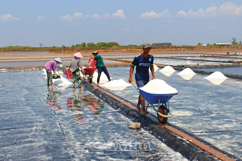 "Lên đời" hạt muối Cà Mau
