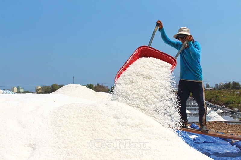 "Lên đời" hạt muối Cà Mau