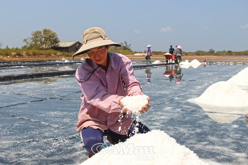 "Lên đời" hạt muối Cà Mau