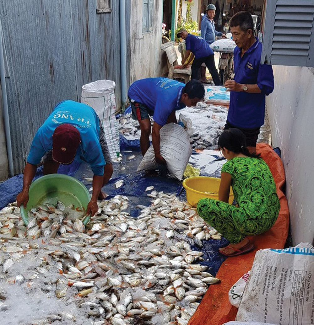 Khẩn trương di dời lồng bè trên khu vực sông Cái Vừng
