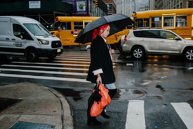 Thành phố New York cấm sử dụng tất cả các loại túi nylon