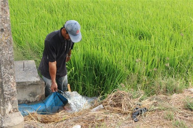 Xâm nhập mặn ở Đồng bằng sông Cửu Long diễn ra gay gắt trong tháng 3