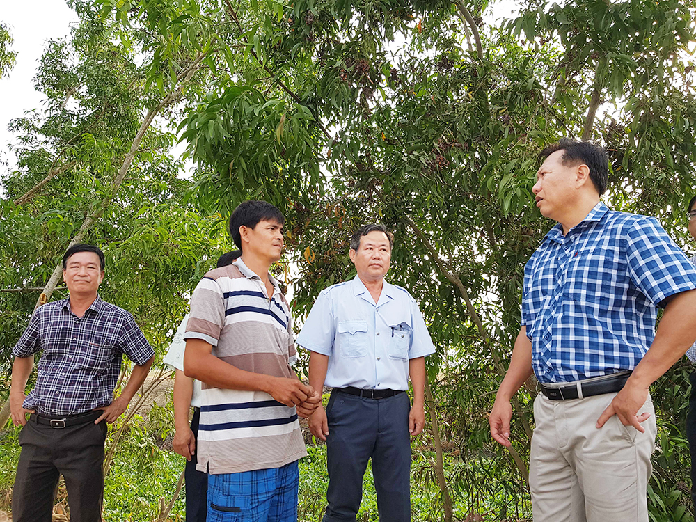 An Giang chưa xảy ra dịch cúm gia cầm An Giang chưa xảy ra dịch cúm gia cầm