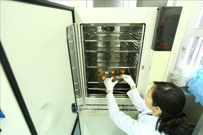 Nhóm nhà khoa học nữ phân lập thành công SARS-CoV-2 được xét trao Giải thưởng Kovalevskaia