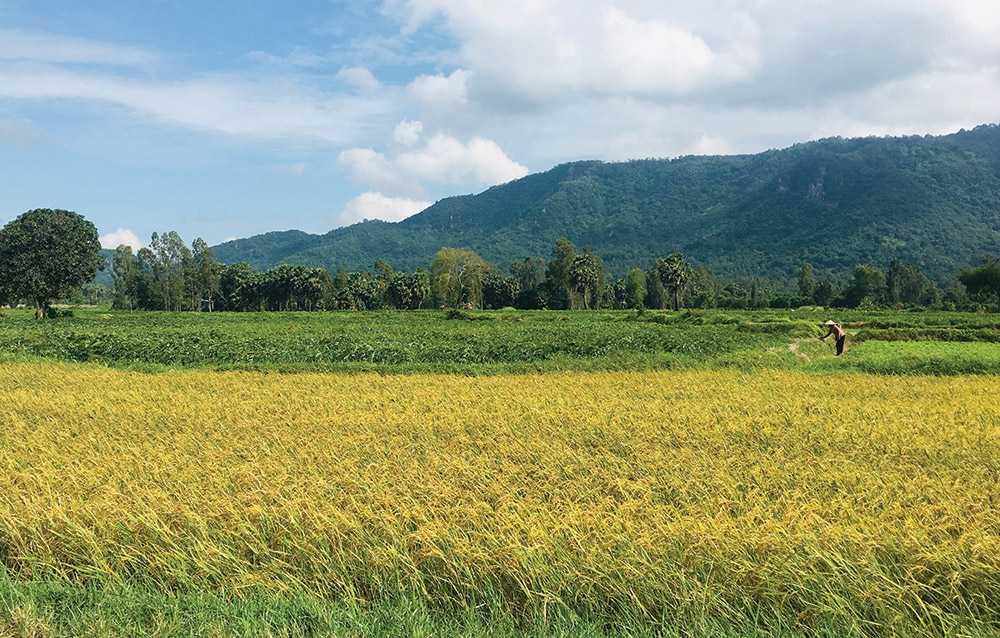 Mùa khô Bảy Núi