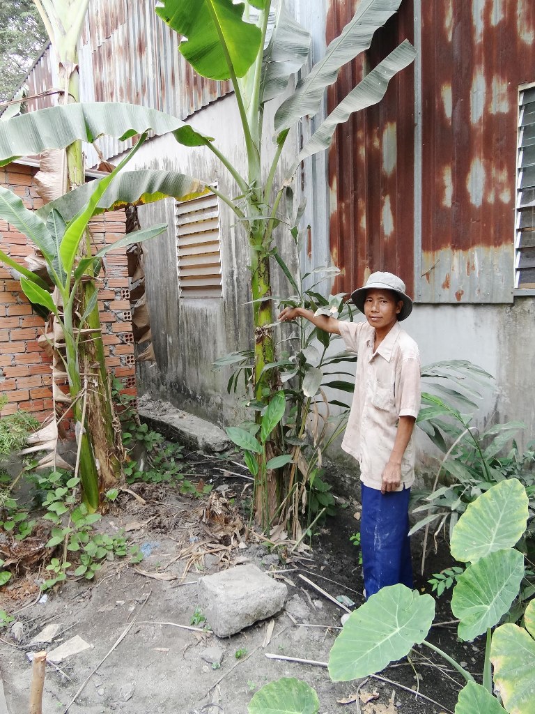 Yêu cầu tách phần đất ông bà cho bị chiếm dụng