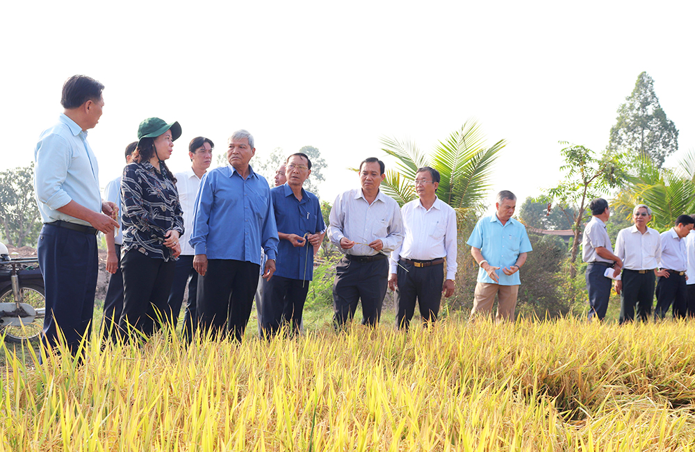 Bí thư Tỉnh ủy Võ Thị Ánh Xuân làm việc về tình hình sản xuất và tiêu thụ nông sản ở Phú Tân Bí thư Tỉnh ủy Võ Thị Ánh Xuân làm việc về tình hình sản xuất và tiêu thụ nông sản ở Phú Tân