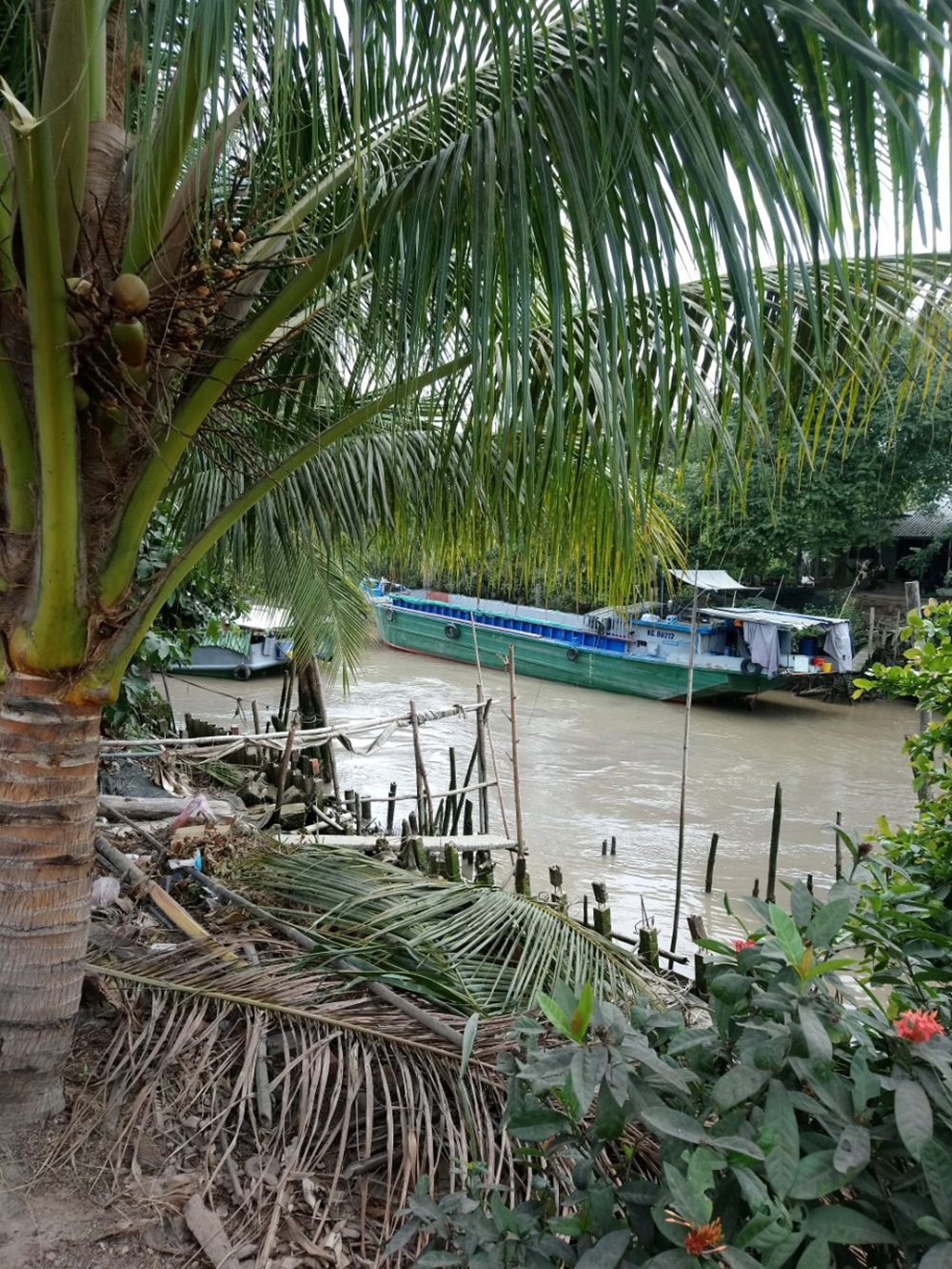 Cần giải quyết tình trạng cơ sở sấy lúa gây ô nhiễm