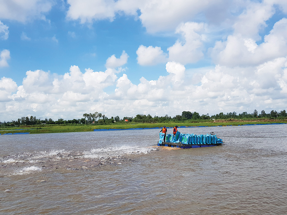 Cơ hội từ Hiệp định thương mại tự do Việt Nam - Liên minh Châu Âu