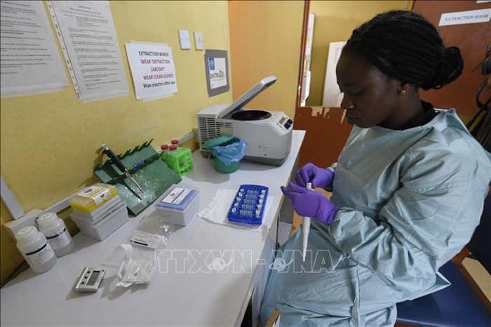 Dịch sốt xuất huyết Lassa ở Nigeria khiến 144 người tử vong