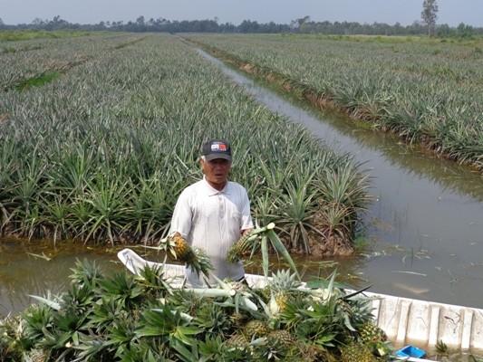 Về miền Tây thưởng thức đặc sản ‘sóc khóm’
