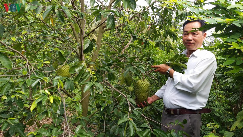 Chính quyền và người dân vùng ĐBSCL “ứng phó” với hạn mặn
