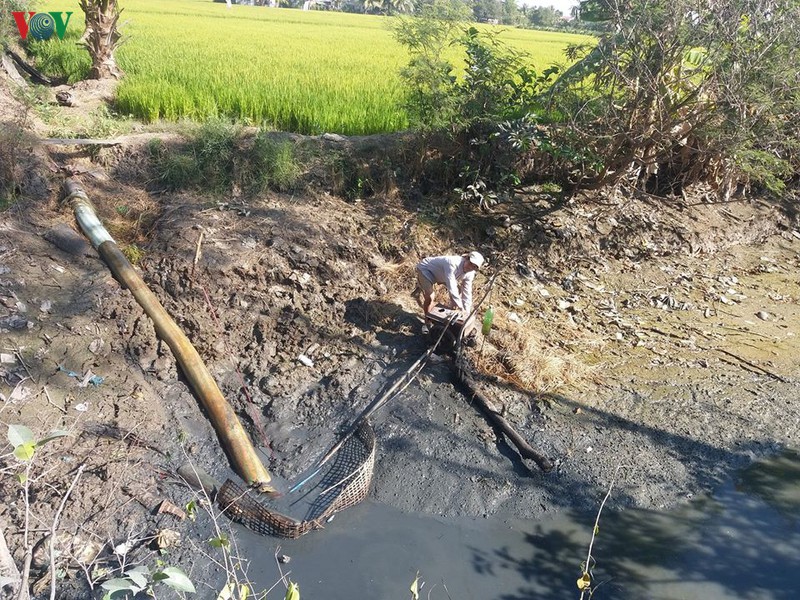 Chính quyền và người dân vùng ĐBSCL “ứng phó” với hạn mặn