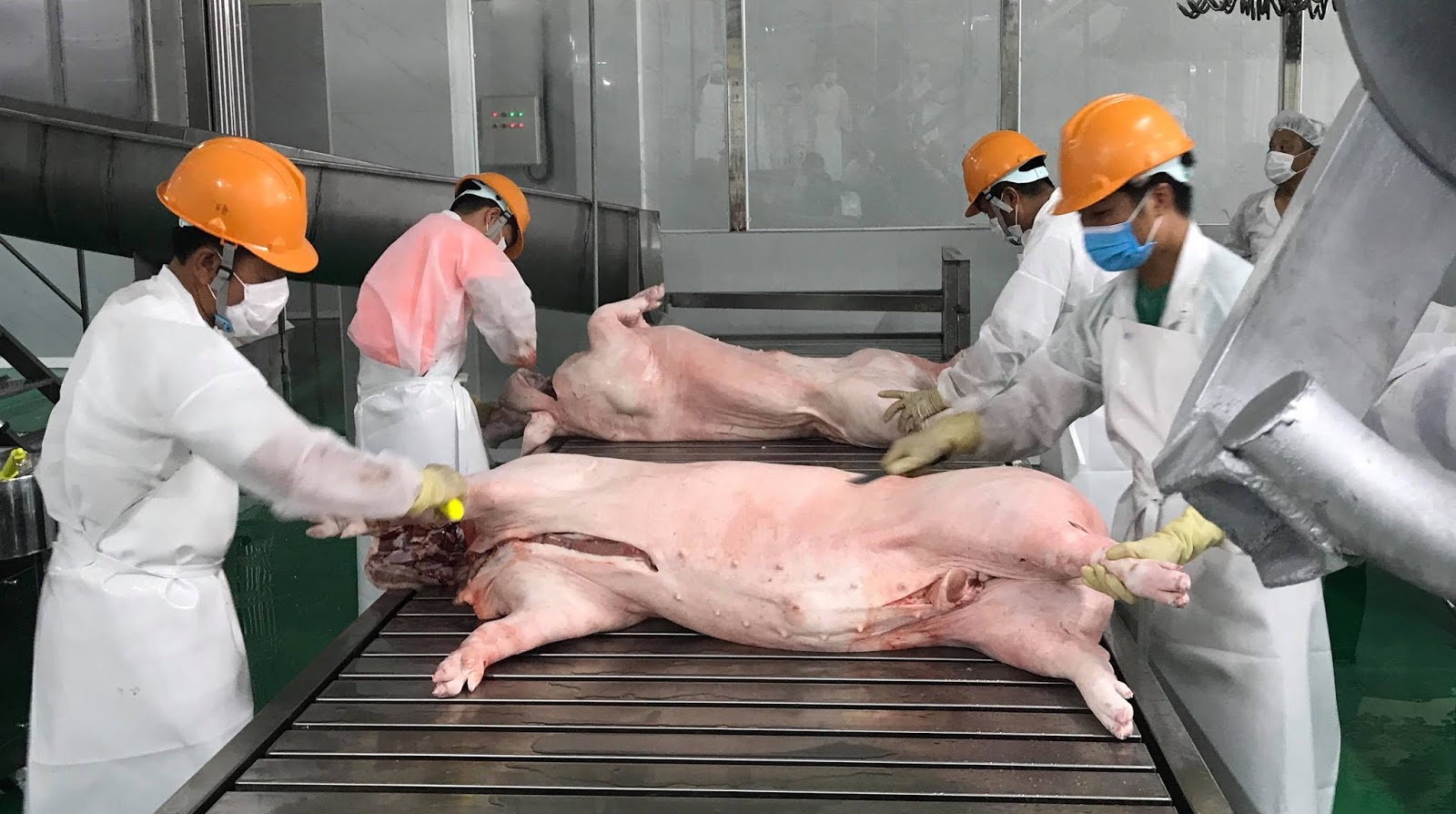 Giá heo hơi hôm nay 17-3: Vẫn neo khá cao, cung thịt lợn giảm 10%
