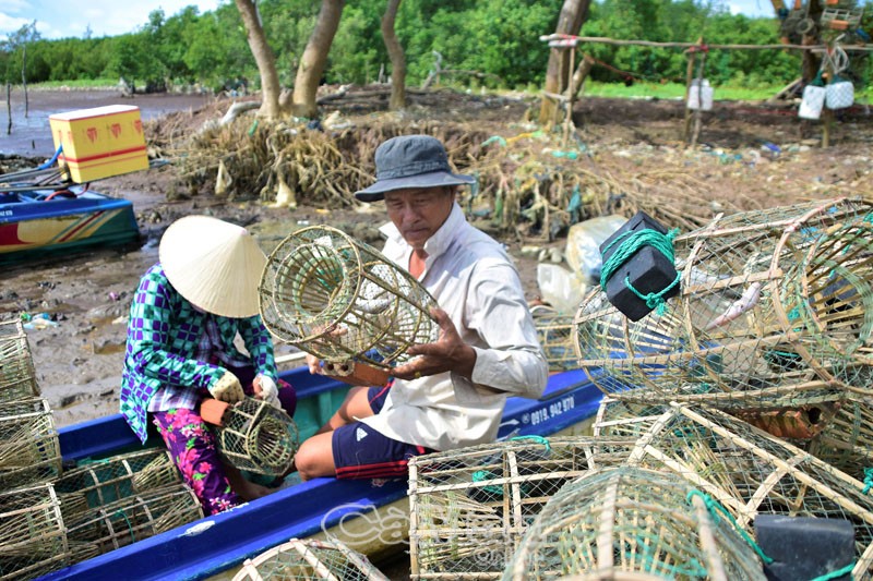 Kỳ thú săn loài cua đá bán đắt tiền ở hòn Đá Bạc tỉnh Cà Mau